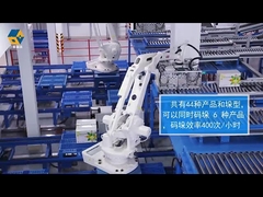 Poids léger à haut volume de système d'entrepôt du stockage ASRS d'industrie